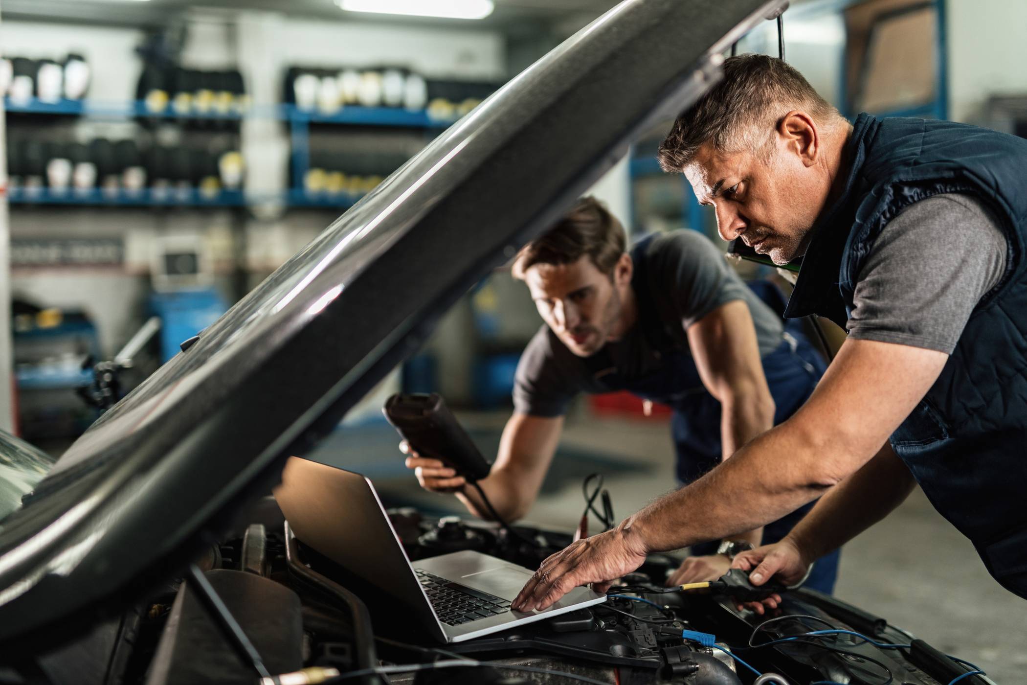 Normasto Service