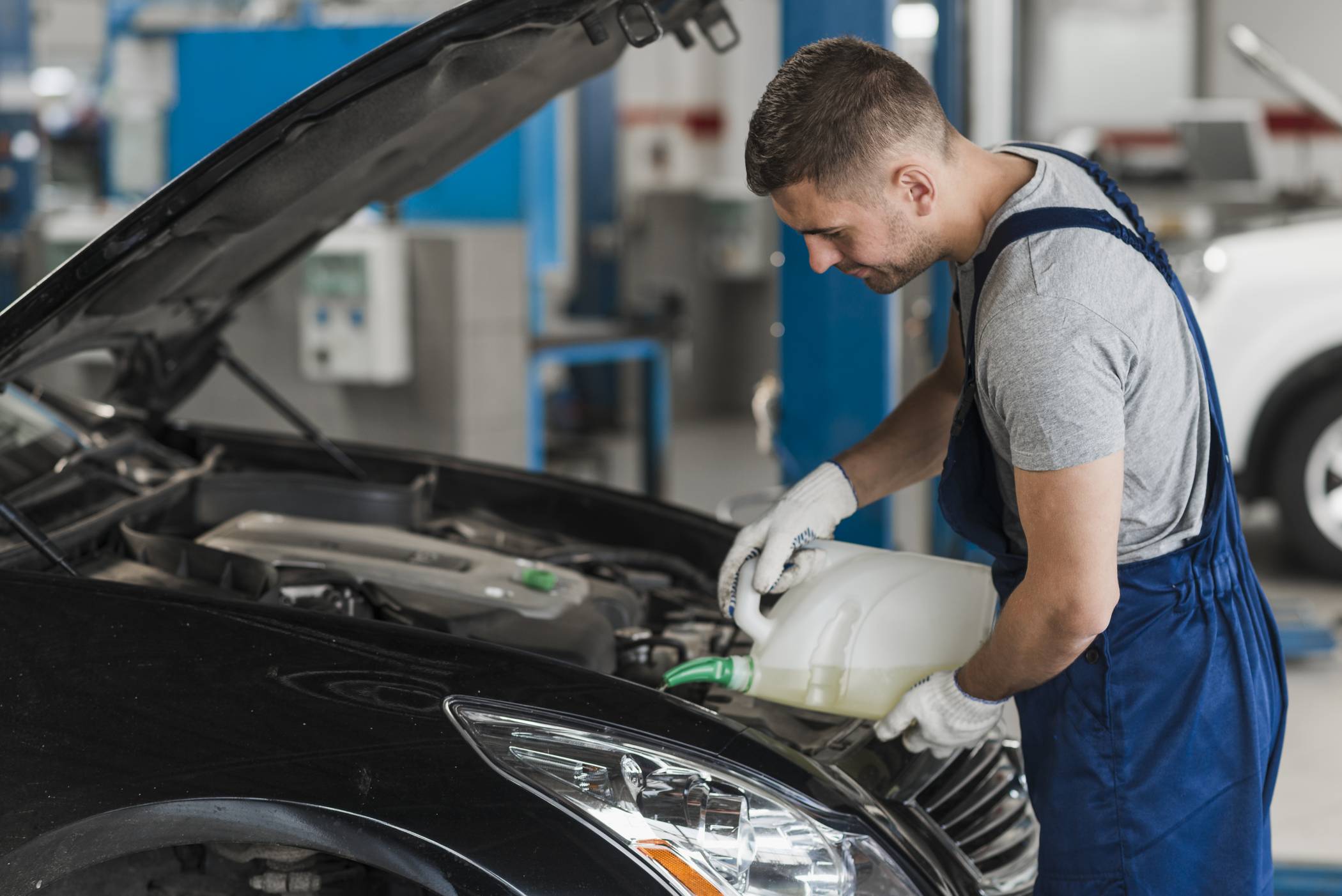 Normasto Service